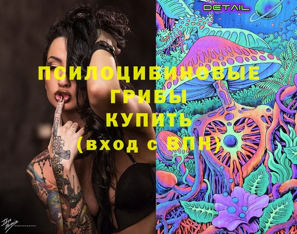 мяу мяу мука Вяземский