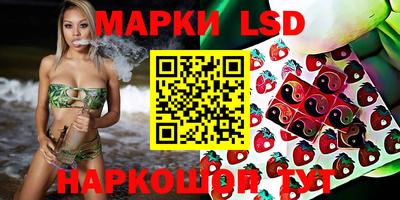 мяу мяу мука Гусь-Хрустальный